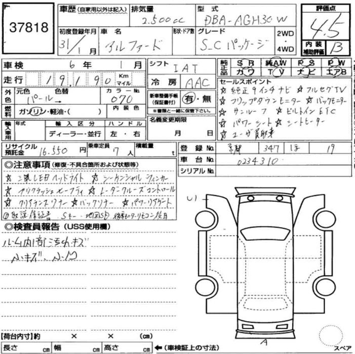 Inspection Report