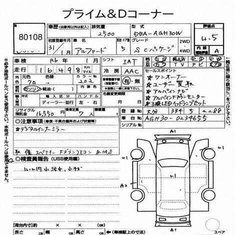 Inspection Report