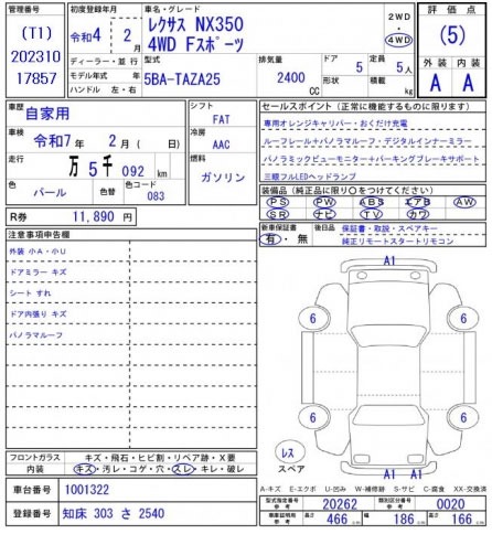 Inspection Report