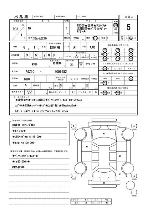 Inspection Report