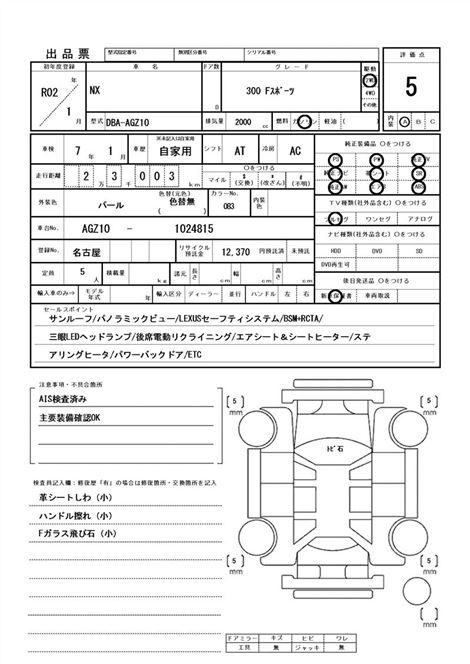 Inspection Report