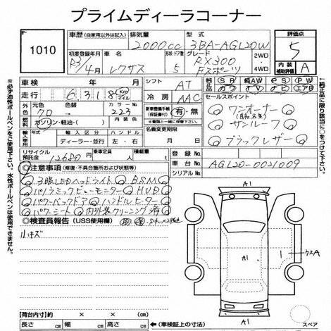 Inspection Report