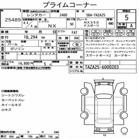 Inspection Report