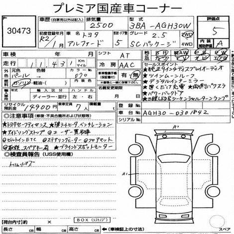 Inspection Report