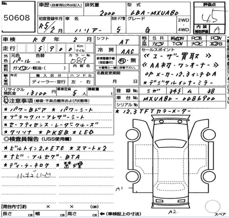 Inspection Report