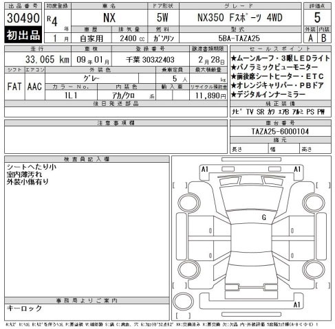 Inspection Report