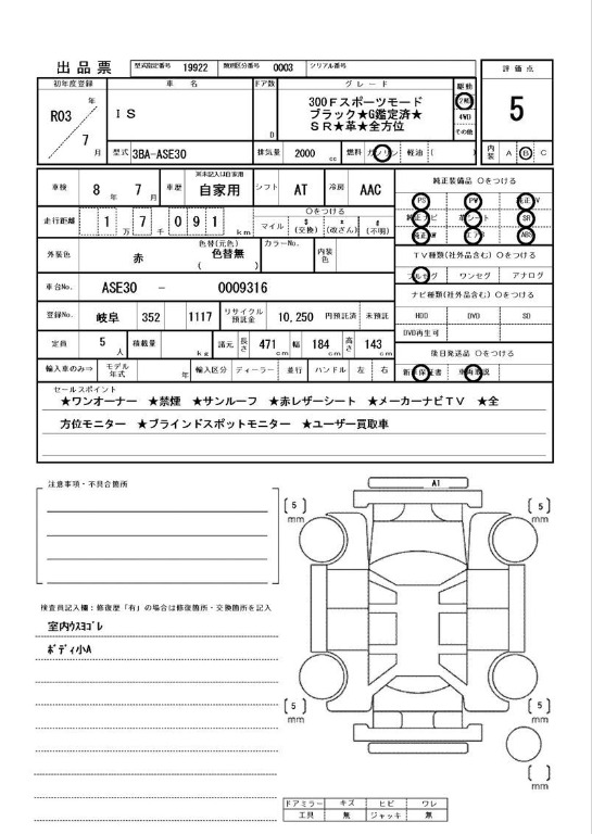 Inspection Report