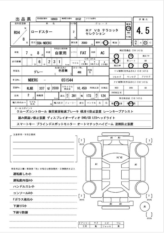 Inspection Report