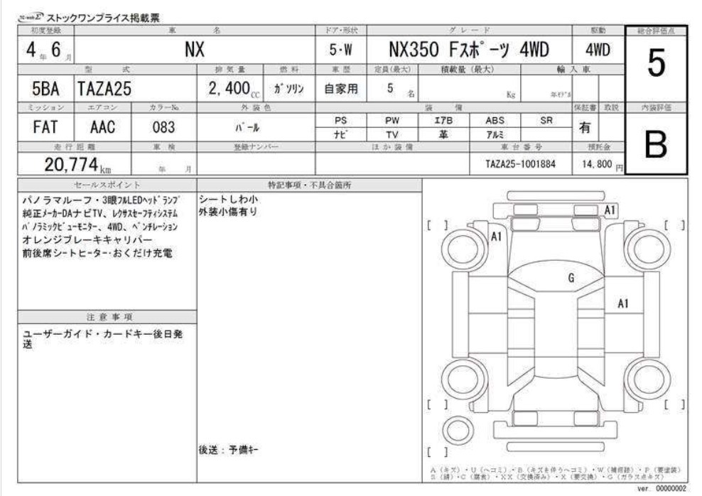 Inspection Report