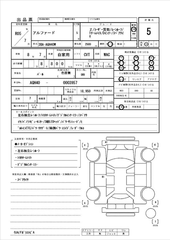Inspection Report