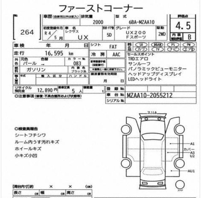 Inspection Report