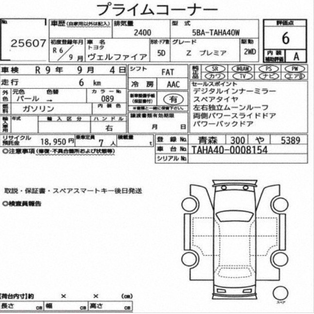 Inspection Report