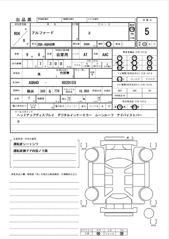 Inspection Report