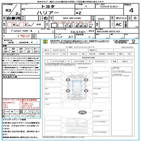 Inspection Report