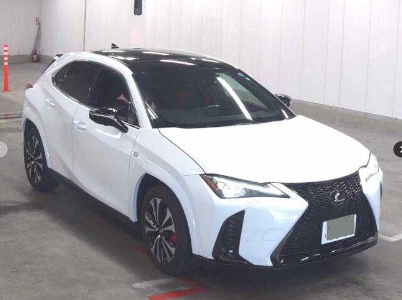 2023 LEXUS UX200 F-SPORT EMOTIONAL EXPLORER