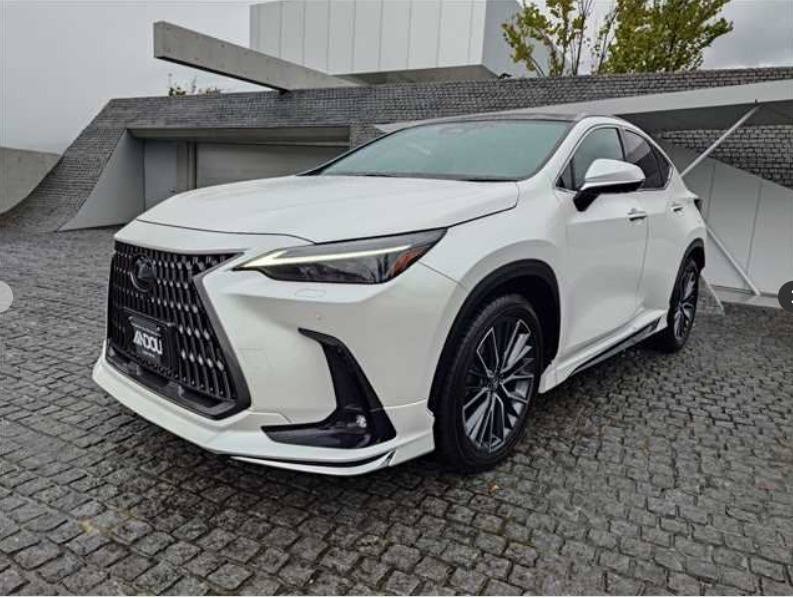 2023 LEXUS NX250 BASE
