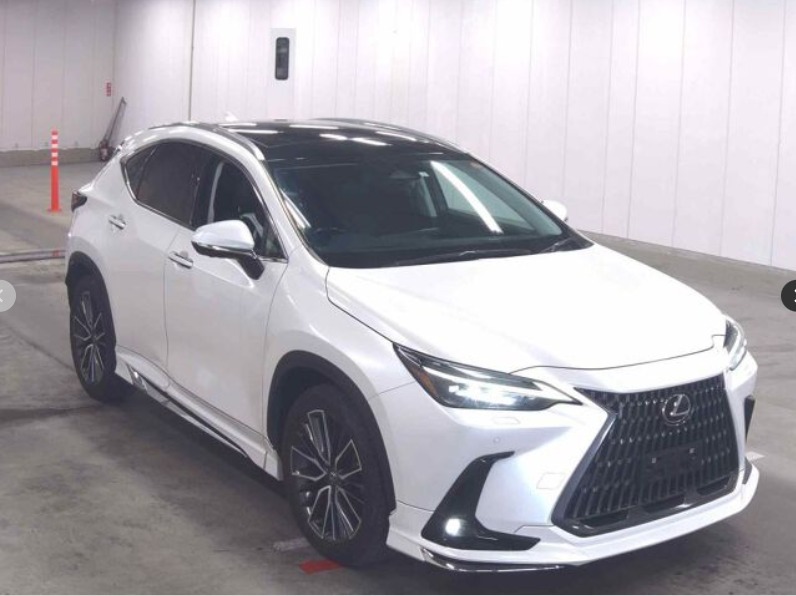 2023 LEXUS NX250 Version L