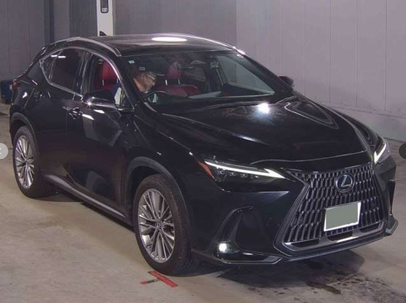 2023 LEXUS NX250 Version L